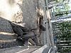     
: IMG_4813.jpg
: 23
:	96.3 
ID:	24563