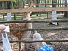    
: IMG_4801.jpg
: 24
:	96.3 
ID:	24565