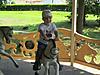     
: IMG_4827.jpg
: 24
:	79.1 
ID:	24570