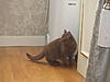     
: P8300030_мини.jpg
: 62
:	36.4 
ID:	24755