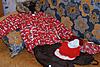    
: DSC_0310_m.jpg
: 173
:	100.9 
ID:	25065