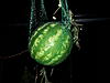     
: 20130914_203954.jpg
: 116
:	87.7 
ID:	25563