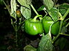     
: 20130914_204736.jpg
: 106
:	89.6 
ID:	25564