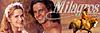     
: 1243434222_milagros-copy.jpg
: 57
:	19.7 
ID:	25659
