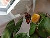     
: image-23-10-13-03-22-1.jpg
: 246
:	53.2 
ID:	25995