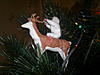     
: 2013-12-29-923.jpg
: 20
:	1.51 
ID:	27340