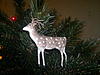     
: 2013-12-29-926.jpg
: 17
:	1.77 
ID:	27341