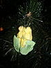     
: 2013-12-29-924.jpg
: 17
:	1.55 
ID:	27343
