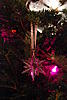     
: rsz_elka_2014-6.jpg
: 50
:	444.4 
ID:	27377