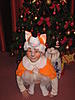     
: IMG_0013.JPG
: 61
:	1.61 
ID:	27396