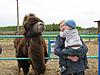     
: IMG_4835 [1600x1200].JPG
: 26
:	370.2 
ID:	29364