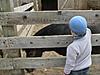     
: IMG_4840 [1600x1200].JPG
: 18
:	421.0 
ID:	29366