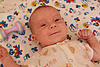     
: IMG_4627.jpg
: 152
:	96.9 
ID:	3114