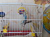     
: 2014-09-26-1654.jpg
: 24
:	1.55 
ID:	31558
