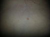     
: 2014-11-11 21-15-00.JPG
: 116
:	1.80 
ID:	32416
