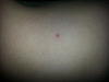     
: 2014-11-11 21-13-56.JPG
: 91
:	1.69 
ID:	32417