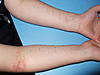     
: DSCF4843.JPG
: 61
:	611.3 
ID:	32968