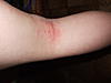     
: DSCF4854.JPG
: 40
:	578.9 
ID:	32970