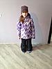     
: IMG_1738.jpg
: 80
:	63.6 
ID:	33544