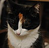     
: BCC_9911 - 2.jpg
: 26
:	1.57 
ID:	33594