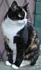     
: BCC_8359 - 2.jpg
: 30
:	1.57 
ID:	33595