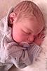     
: d1c1ab24d727fb7dd285c739818l--kukly-igrushki-kukla-reborn-noah-ot-reva-schick.jpg
: 54
:	46.1 
ID:	33769
