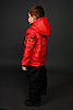     
: DSC_2083.jpg
: 17
:	164.5 
ID:	34727