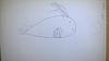     
: WP_20150624_005 1.jpg
: 56
:	154.4 
ID:	35428