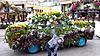     
: 20150818_151436.jpg
: 24
:	166.7 
ID:	36011