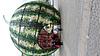     
: 20150818_152243.jpg
: 17
:	133.7 
ID:	36014