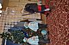     
: DSC_0262.JPG
: 49
:	1.94 
ID:	37588