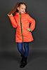     
: jenifer10b.jpg
: 0
:	192.6 
ID:	38057