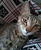     
: IMG_20160528_154109_1464605405147.jpg
: 6
:	222.9 
ID:	39031