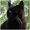     
: image.jpeg
: 0
:	358.7 
ID:	39279