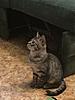     
: IMG_2060.JPG
: 0
:	92.6 
ID:	39727