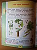     
: DSCF8050.JPG
: 0
:	611.7 
ID:	40133
