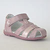     
: 812061_19-26.jpg
: 6
:	19.4 
ID:	4019