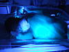     
: DSCF5371.JPG
: 0
:	584.2 
ID:	40288