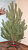     
: DSCF8713 - 2.jpg
: 0
:	491.3 
ID:	40404