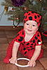     
: DSCF8909 без к.г. с пов. - 2 2х3   &.jpg
: 0
:	111.7 
ID:	40480