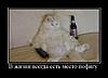     
: demotivator039.jpg
: 49
:	41.0 
ID:	4126