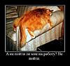     
: demotivator034.jpg
: 50
:	57.2 
ID:	4138