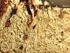     
: 1.jpeg
: 0
:	128.3 
ID:	41711