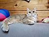     
: IMG-20180308-WA0009.jpg
: 0
:	163.2 
ID:	41997