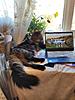     
: IMG-20221010-WA0001.jpg
: 0
:	216.0 
ID:	42408