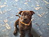     
: IMG_3900.jpg
: 72
:	98.0 
ID:	4454