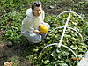     
: DSCN0747.jpg
: 94
:	101.6 
ID:	5268