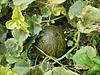     
: DSCN0744.jpg
: 58
:	99.9 
ID:	5274