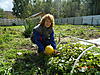     
: DSCN0750.jpg
: 76
:	99.1 
ID:	5278