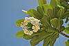     
: DSC_0349.jpg
: 5
:	92.3 
ID:	5777